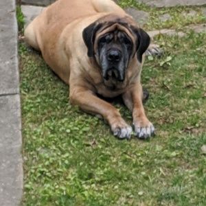 Meet your Posher, Russell